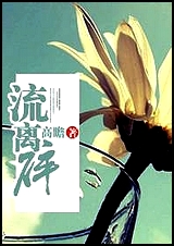 流离碎封面