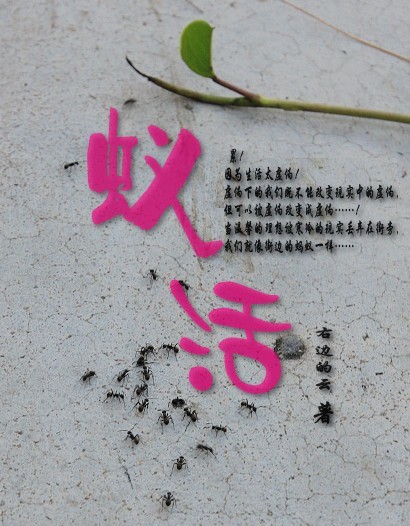 欲望俘虏:蚁活封面