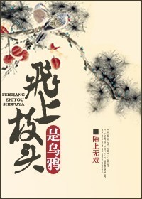 飞上枝头是乌鸦封面