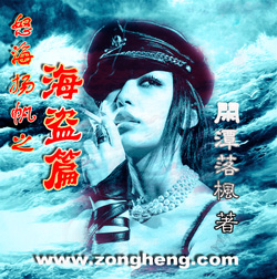怒海扬帆之海盗篇封面