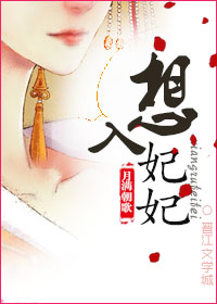想入妃妃封面