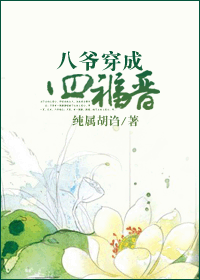 八爷穿成四福晋封面