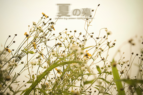 ���η���ڣ