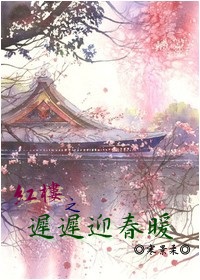红楼之迟迟迎春暖封面