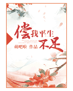 偿我平生不足封面