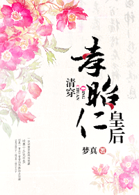 清穿孝昭仁皇后封面