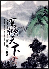 鸾倾天下封面