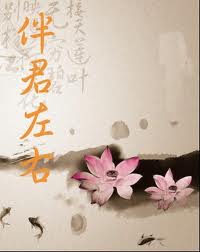 伴君左右封面
