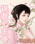 误惹七王爷封面
