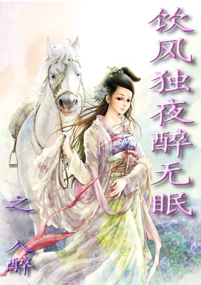 饮风独夜醉无眠封面