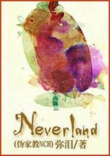 (α�ҽ�NCHͬ��)Neverland