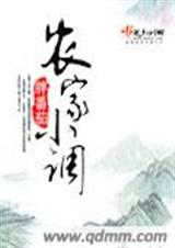 农家小调封面