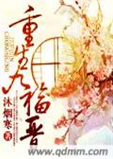 重生九福晋封面