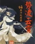 势凌云霄封面