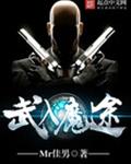 武入魔途封面