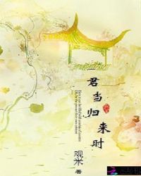君当归来时封面