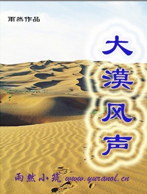大漠风声封面