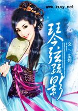 琴弦疏影封面