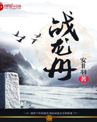 战龙册封面