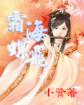 霜海蝶飞封面