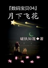 (���뱦��ͬ��)���뱦��04���·ɻ�