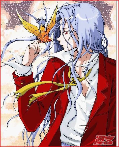 我的司机是大老封面