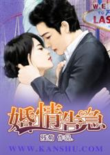 婚情告急封面