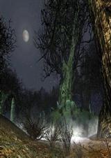 ����˭��