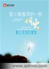 爱上青春里的一枚烟火封面