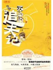 苏染染追夫记封面
