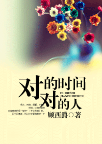 对的时间对的人封面