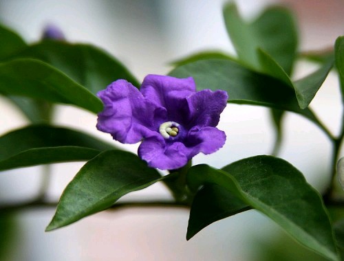 ����Ʈ��һ