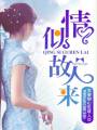 情似故人来封面