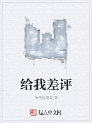 给我差评封面