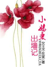 С���޳�ǽ��