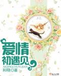 爱情初遇见封面