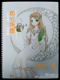 如心所愿封面