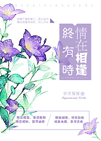 情在相逢终有时封面
