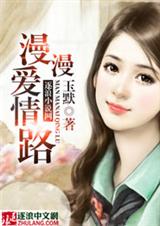 漫漫爱情路封面