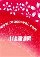 缘定七夫封面