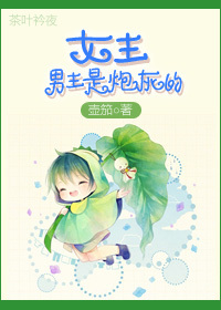 女主,男主是炮灰的封面