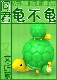 问君龟不龟封面