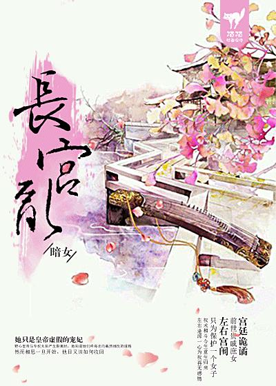 长宫乱封面