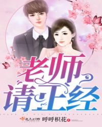 老师请正经封面