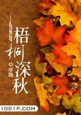 梧桐深秋封面