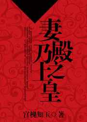 妻乃殿上之皇封面