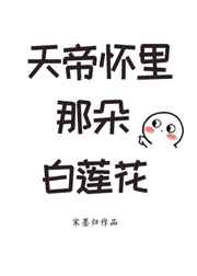 ��ۻ����Ƕ������